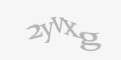 Защитный код